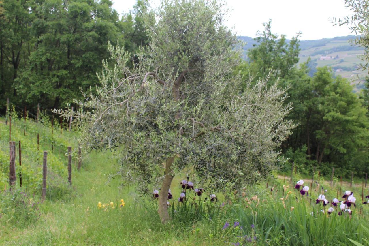 Agriturismo La Rovere Cossano Belbo Dış mekan fotoğraf