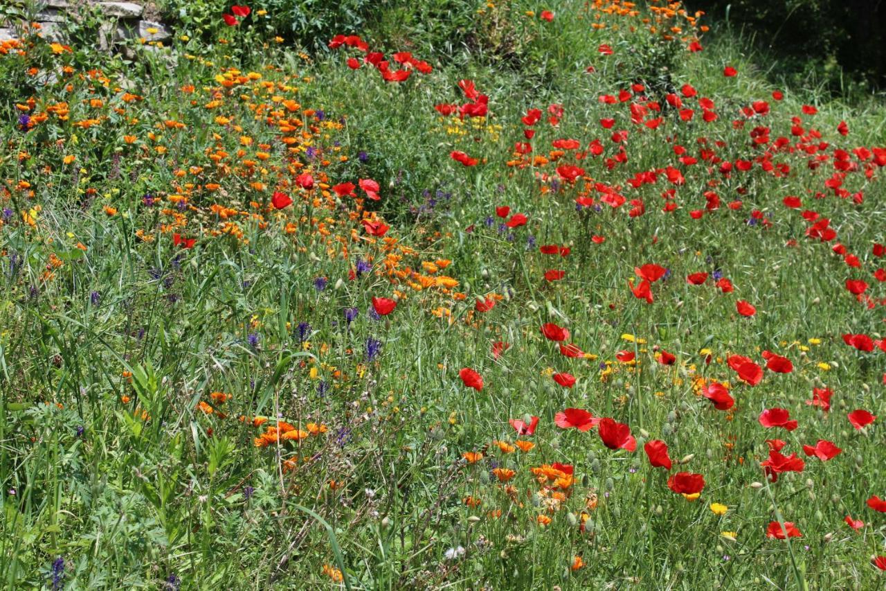 Agriturismo La Rovere Cossano Belbo Dış mekan fotoğraf