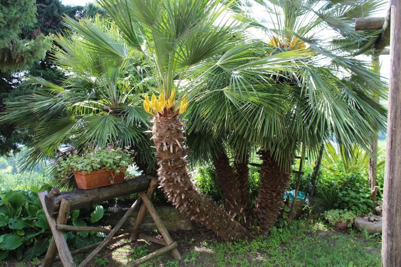 Agriturismo La Rovere Cossano Belbo Dış mekan fotoğraf