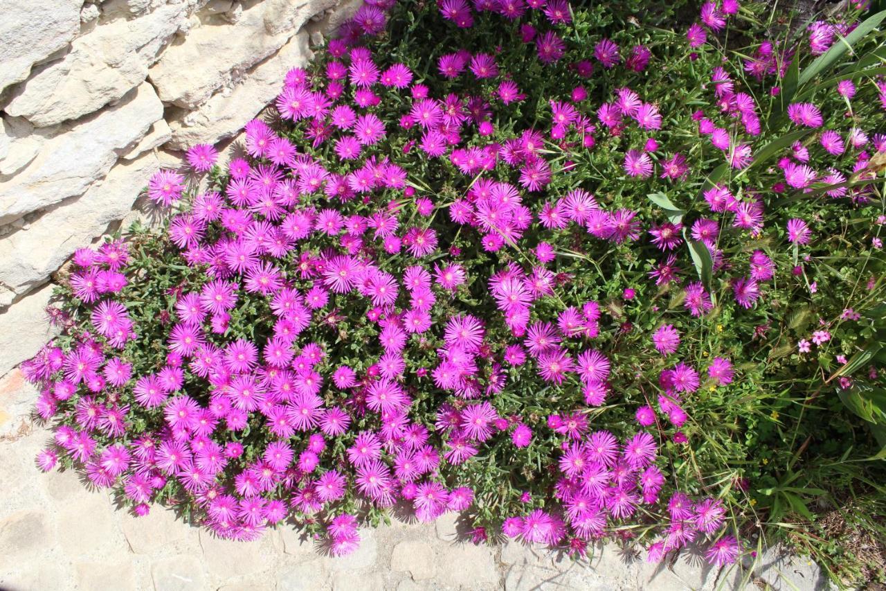 Agriturismo La Rovere Cossano Belbo Dış mekan fotoğraf